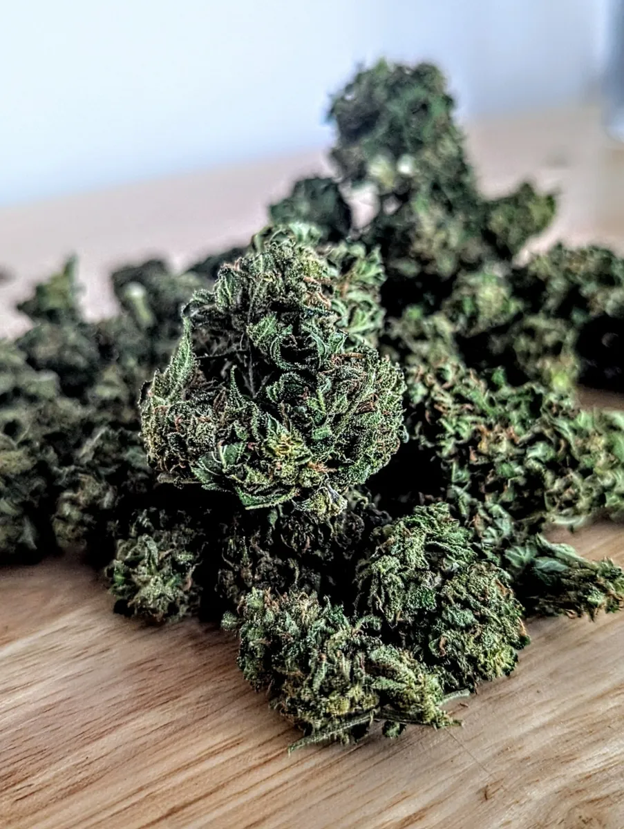 L.A Sunshine — Pre-Roll, Divine Toke Detroit, photo 4